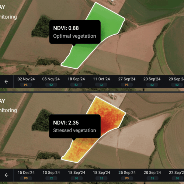 Gemini_Generated_Image_qafu5fqafu5fqafu